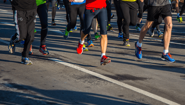 Pelplin Forest Run 2026 -- Zdjecie 1